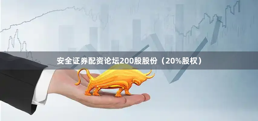 安全证券配资论坛200股股份（20%股权）