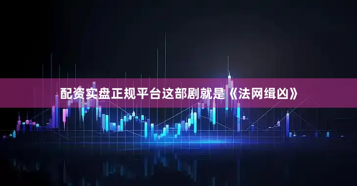 配资实盘正规平台这部剧就是《法网缉凶》